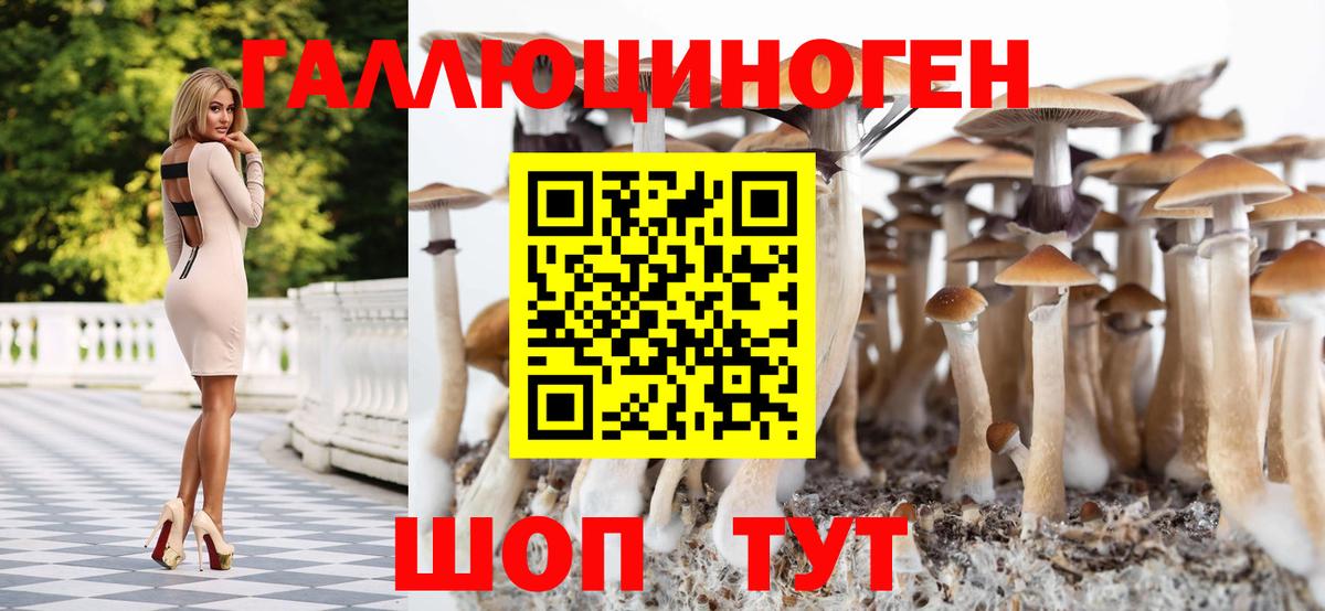 Выкса  Галлюциногенные грибы Psilocybe  Вход с VPN 