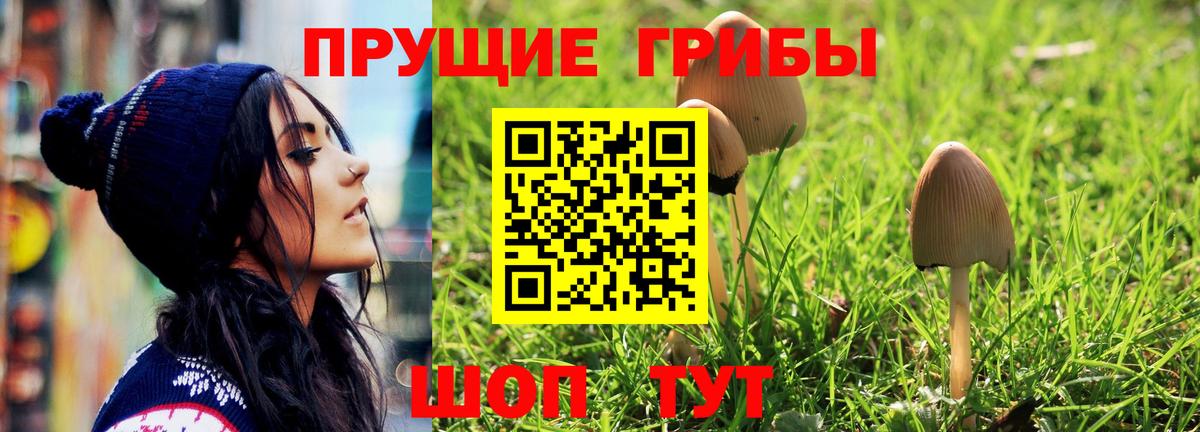 Псилоцибиновые грибы GOLDEN TEACHER Выкса