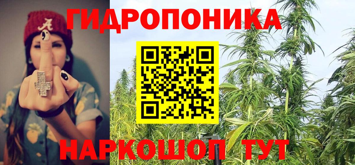 Выкса  Шишки марихуана сатива  Вход с VPN  Бошки марихуана Bruce Banner  Конопля Ganja 